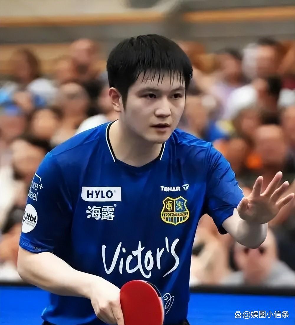 樊振东能重回CBA四强细节曝光的简单介绍|BET365体育官方网站